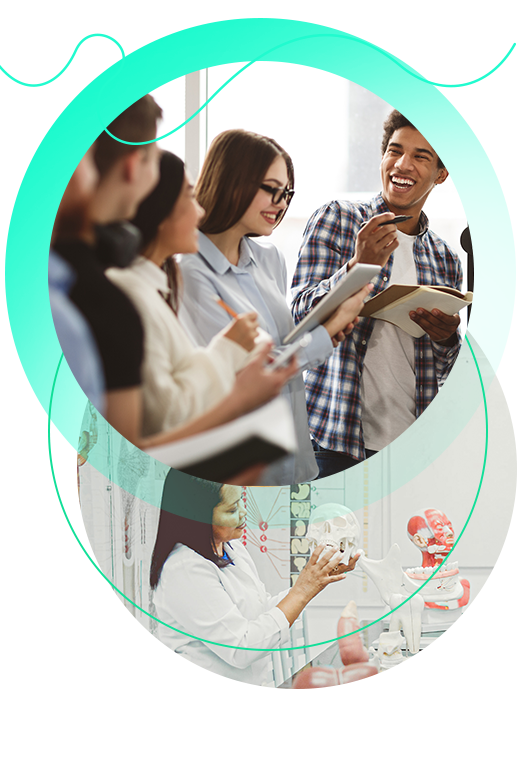 Grupos de Estudos e Pesquisa