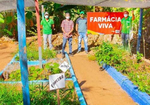 Programa “Farmácia Viva, Hortos Terapêuticos” leva saúde a municípios de baixo IDH do MA