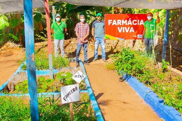 Programa “Farmácia Viva, Hortos Terapêuticos” leva saúde a municípios de baixo IDH do MA