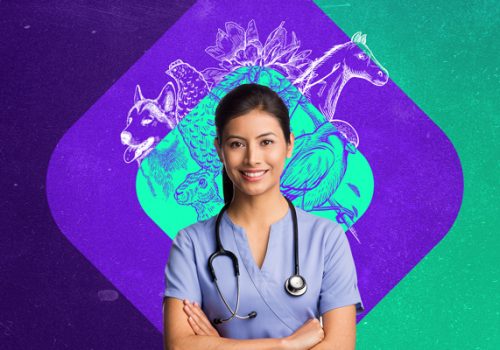 Curso de Medicina Veterinária da Florence inicia sua primeira turma