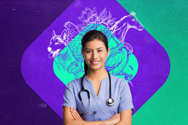 Florence lança curso superior de Medicina Veterinária