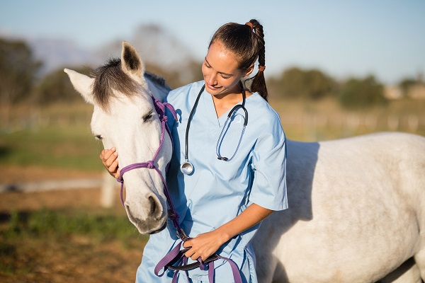 Florence parabeniza médicos veterinários pelo seu dia
