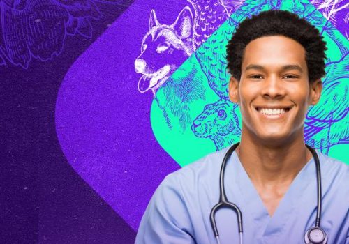 Florence faz evento de lançamento oficial do curso de Medicina Veterinária