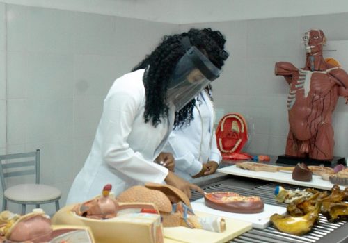 Instituto Florence retoma aulas práticas presenciais na área da saúde