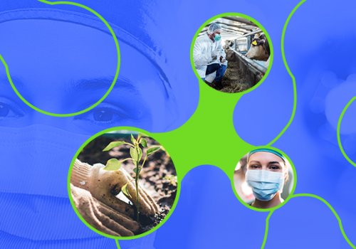 Docente da Florence fala sobre a importância da Saúde Única na formação do médico veterinário