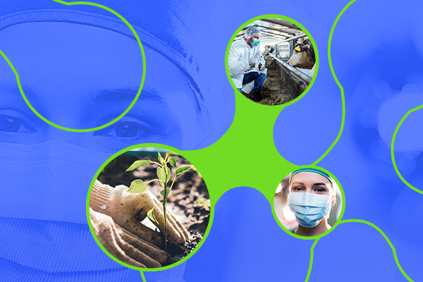 Docente da Florence fala sobre a importância da Saúde Única na formação do médico veterinário