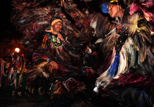 Dia da Cultura: Florence enaltece manifestações culturais maranhenses