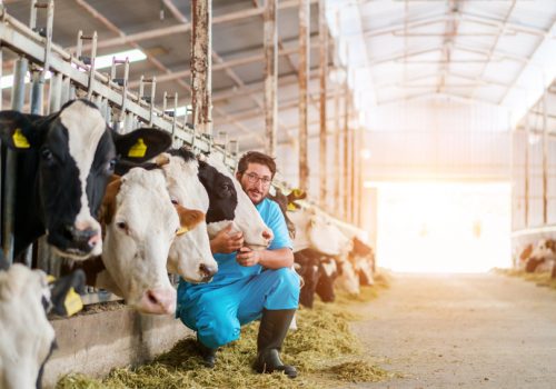 Medicina Veterinária: área multifacetada e repleta de oportunidades