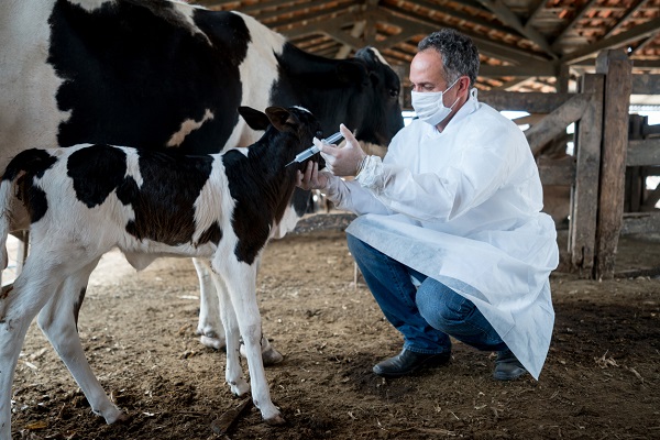 Veterinarios en el campo