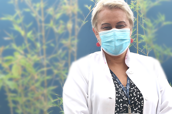 Dia do farmacêutico: entenda a importância da profissão para a sociedade