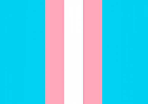 Dia da Visibilidade Trans ressalta a luta por direitos da população de travestis, transexuais e não binários