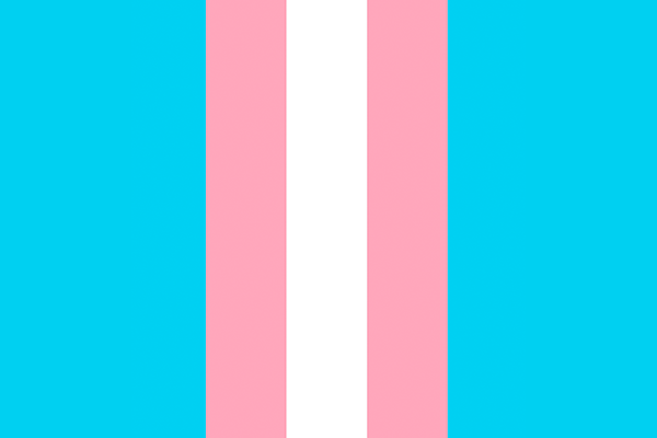 Dia da Visibilidade Trans ressalta a luta por direitos da população de travestis, transexuais e não binários
