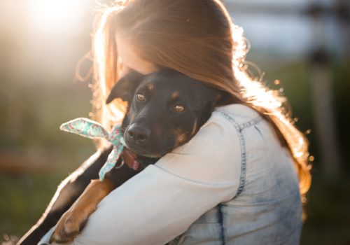 Conheça os cuidados essenciais para manter a saúde e o bem-estar dos pets