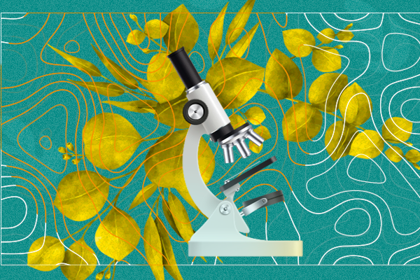 Coordenadora de Farmácia da Florence participa do 1º Congresso Internacional On-line de Fitoterapia