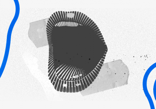 Boca: uma ligação importante com o corpo