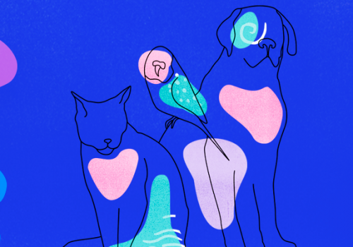 Entenda o papel do Responsável Técnico em Veterinária