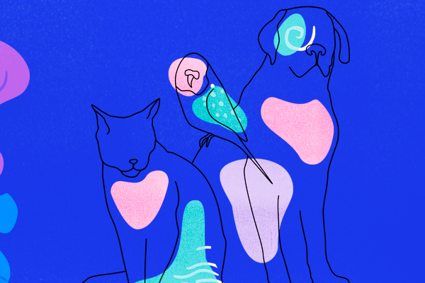 Entenda o papel do Responsável Técnico em Veterinária