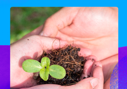 Dia do Técnico em Meio Ambiente: profissional é essencial para a sustentabilidade do planeta