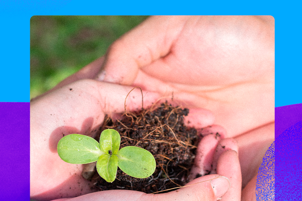 Dia do Técnico em Meio Ambiente: profissional é essencial para a sustentabilidade do planeta