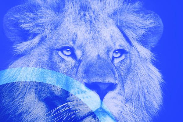 Fique por dentro do Imposto de Renda 2021