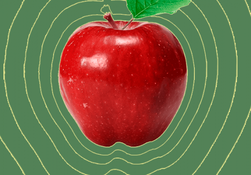 Instituto Florence celebra o Dia Nacional do Técnico em Nutrição e Dietética