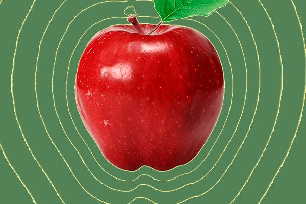 Instituto Florence celebra o Dia Nacional do Técnico em Nutrição e Dietética