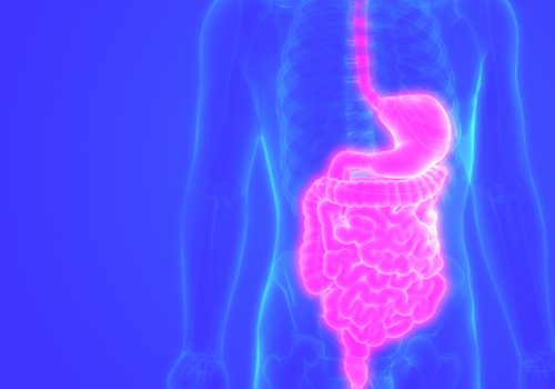 Curso de Nutrição da Florence realiza minicurso de Terapia Nutricional Enteral