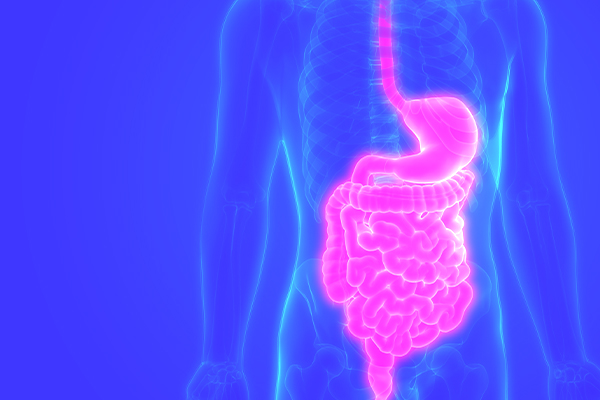 Curso de Nutrição da Florence realiza minicurso de Terapia Nutricional Enteral