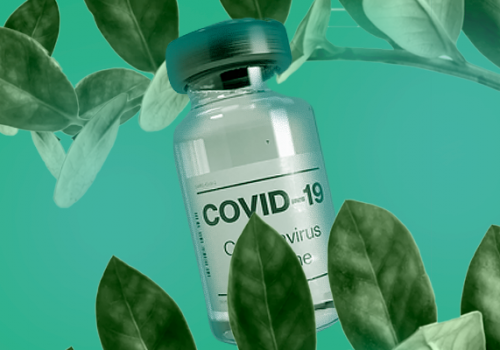 CAF promove palestra sobre plantas medicinais como adjuvantes durante e pós-Covid-19