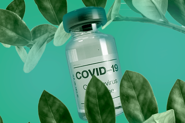 CAF promove palestra sobre plantas medicinais como adjuvantes durante e pós-Covid-19