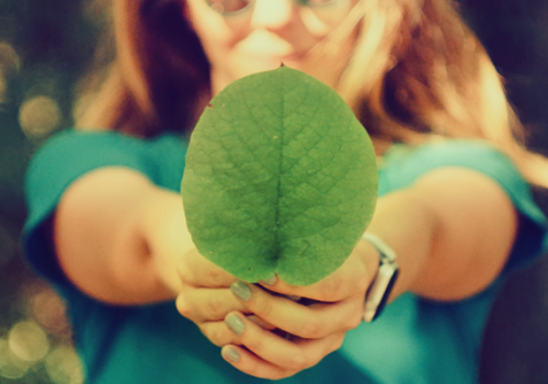 Semana Mundial do Meio Ambiente destaca ações em prol do planeta