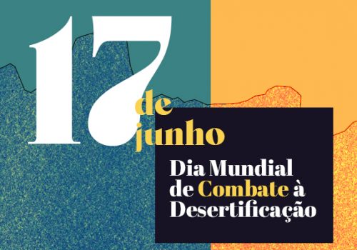 Florence alerta para combate à desertificação