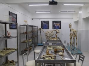 O laboratório auxilia em práticas de conhecimento anatômico, como osteologia, miologia e visceral.