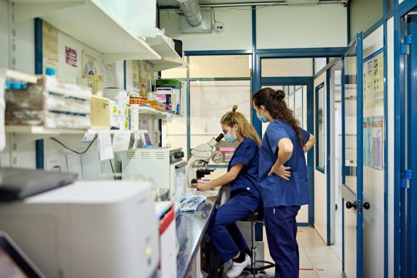 Professora da Florence comenta sobre importância da Medicina Veterinária para o combate à Covid-19
