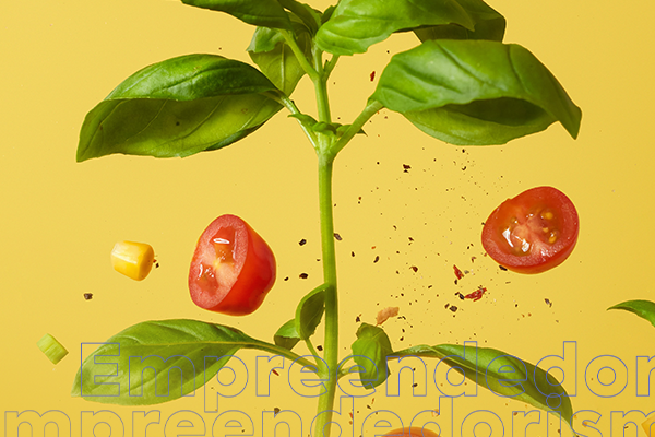 Empreendedorismo na Nutrição: docente do Florence dá dicas de como criar um negócio na área