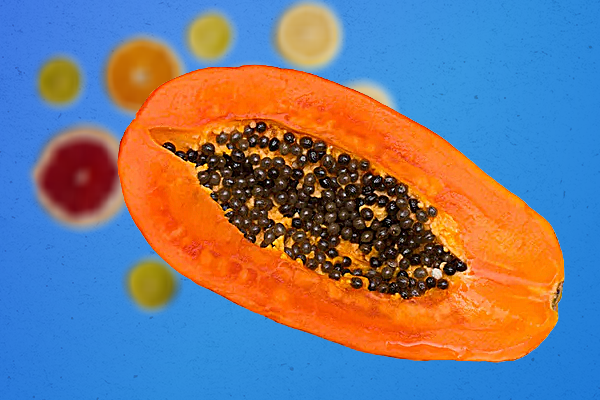 Florence parabeniza nutricionistas pelo dia 31 de agosto 