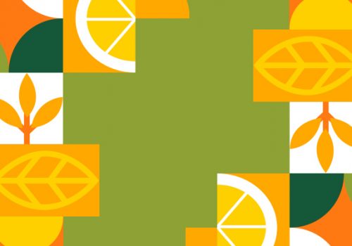 Curso de Nutrição da Faculdade Florence realiza evento em alusão ao dia do Nutricionista