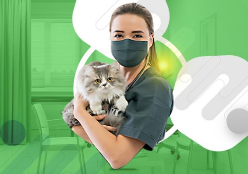 Dia do Médico Veterinário: saiba a importância do reconhecimento desse profissional