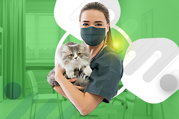 Dia do Médico Veterinário: saiba a importância do reconhecimento desse profissional