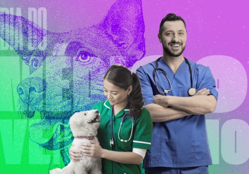 Dia do Médico Veterinário é celebrado com programação especial na Faculdade Florence