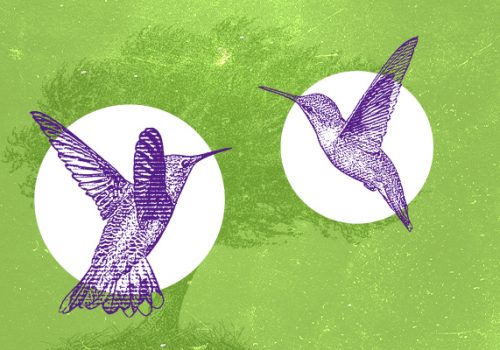 Dia da Árvore e Dia Nacional de Defesa da Fauna são celebrados neste 21 e 22 de setembro