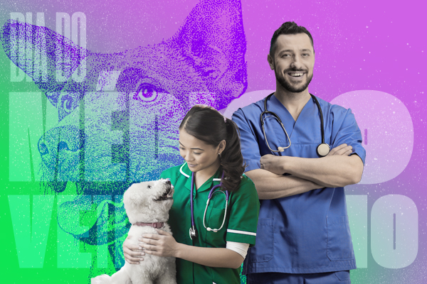 Dia do Médico Veterinário é celebrado com programação especial na Faculdade Florence