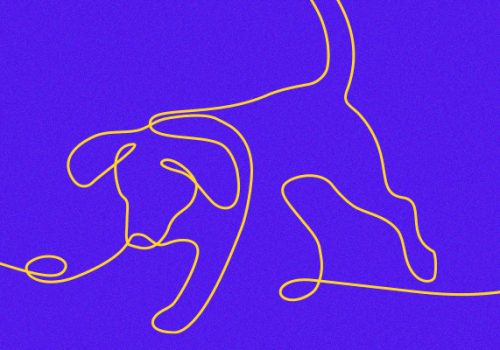 Dia dos Animais: docente comenta sobre a importância do cuidado com as espécies