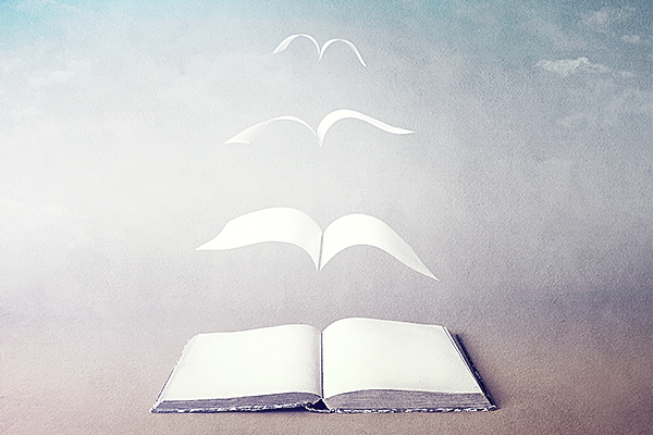 Dia Nacional do Livro é celebrado em 29 de outubro