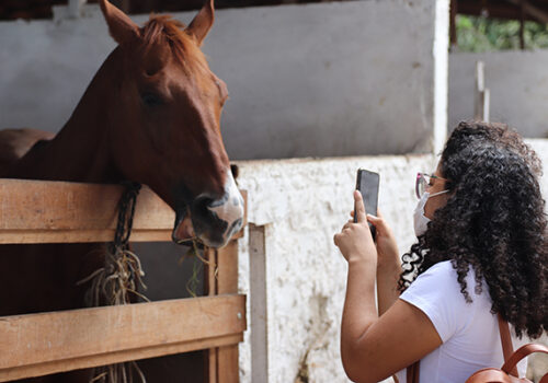 Alunos de Medicina Veterinária da Florence fazem visita técnica ao Haras Honorato