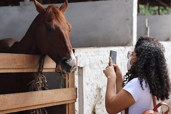 Alunos de Medicina Veterinária da Florence fazem visita técnica ao Haras Honorato