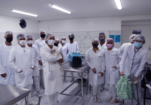 Alunos de Medicina Veterinária têm aula prática sobre fisiologia dos sistemas em cães e gatos