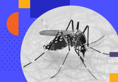 19 de novembro: data alerta para o combate à dengue