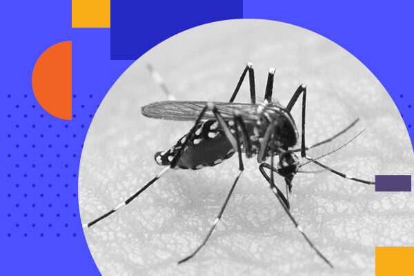 19 de novembro: data alerta para o combate à dengue