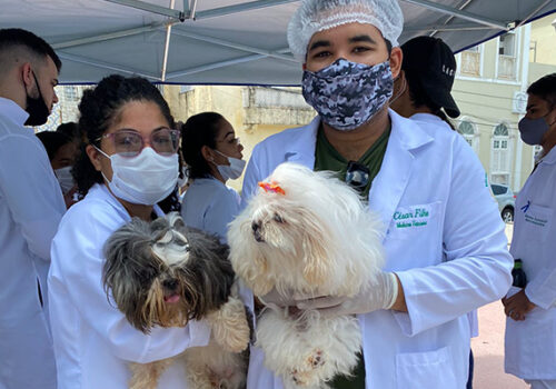 Met Vet da Florence atende cães e gatos com vacinação e instrui tutores sobre o câncer de próstata em animais